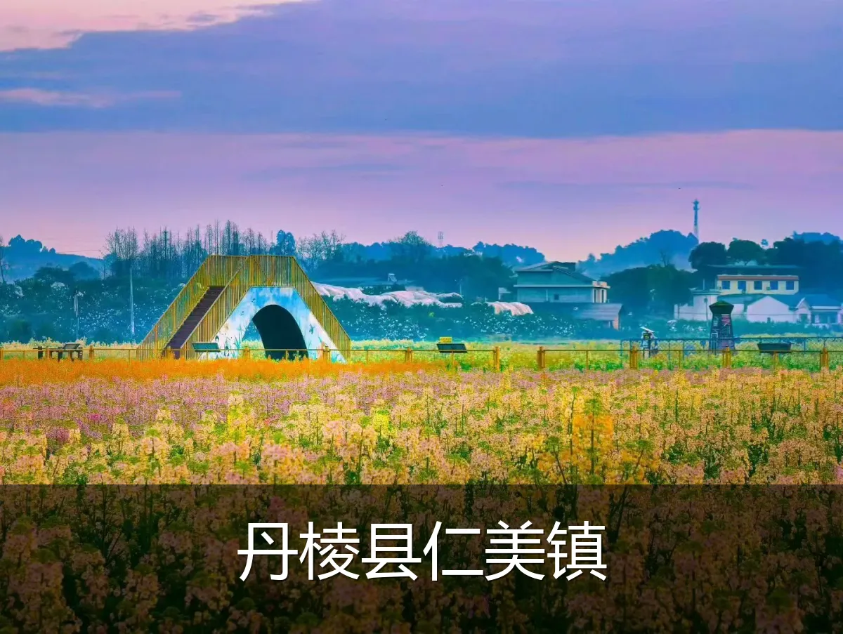 丹棱县仁美镇