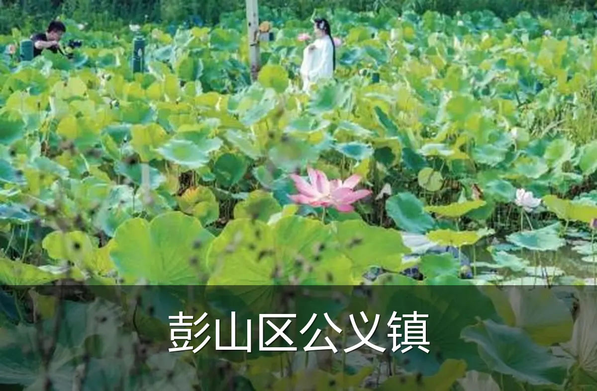 彭山区公义镇