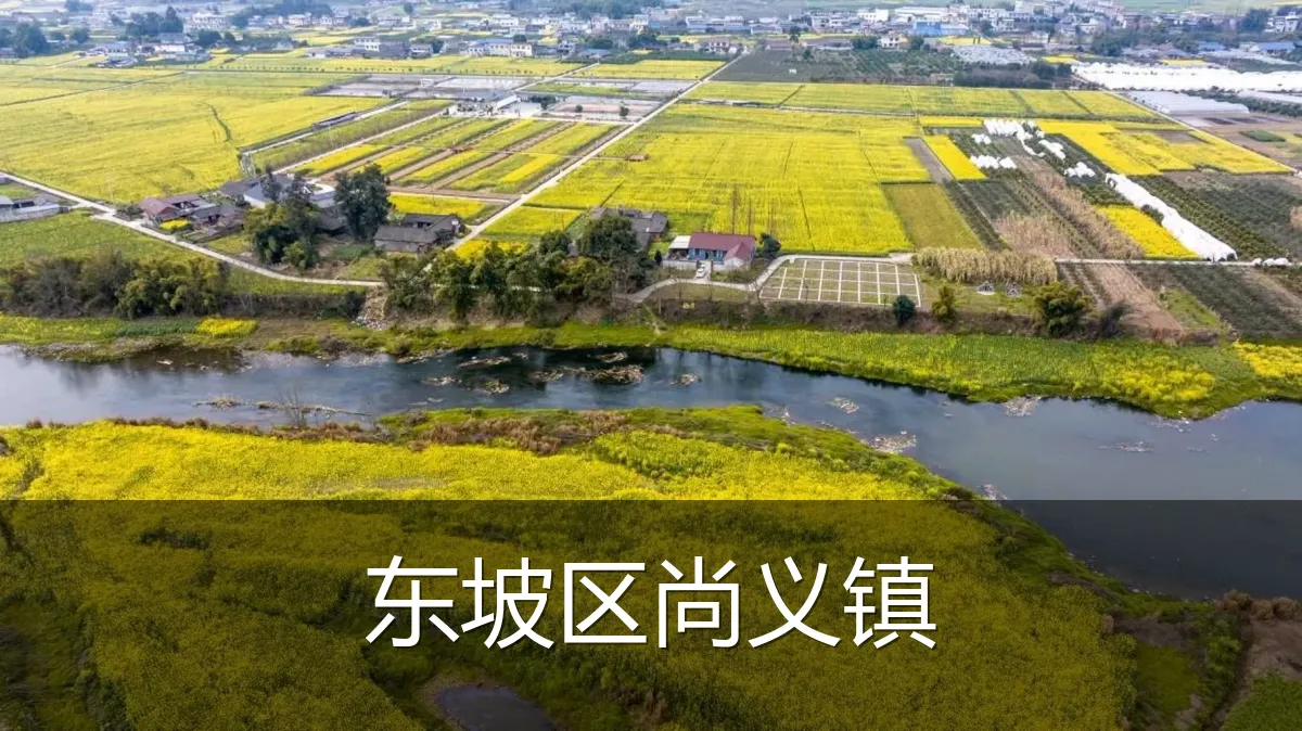 东坡区尚义镇