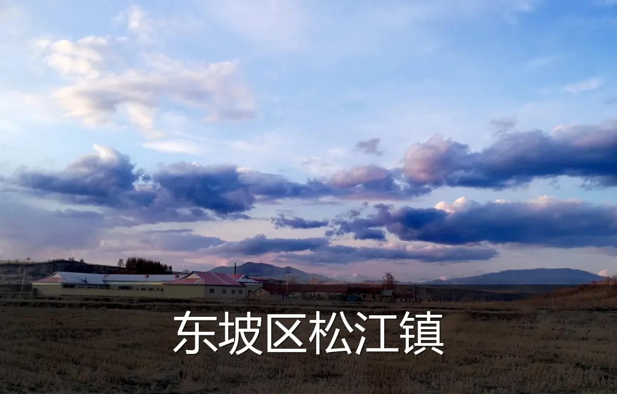 东坡区松江镇