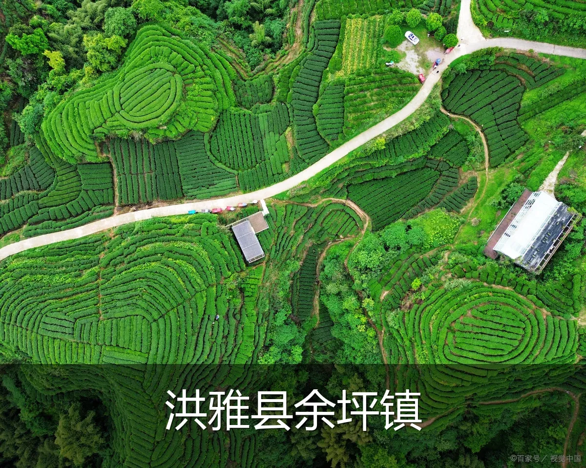洪雅县余坪镇